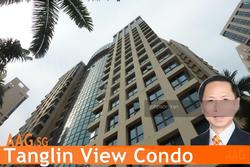 Tanglin View (D3), Condominium #157055522